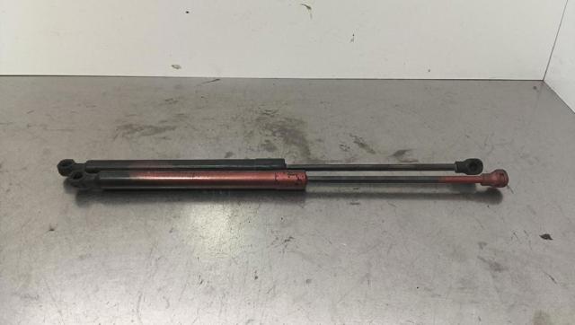 654700462R Renault (RVI)