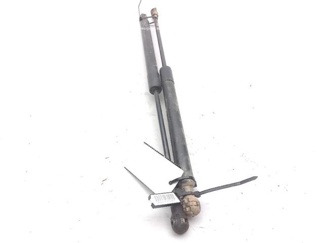 654700462R Renault (RVI)