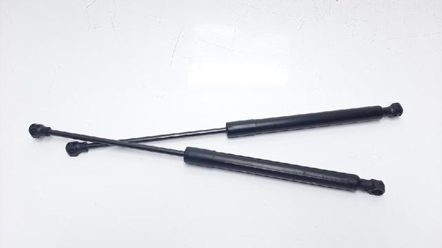 Amortyzator maski 654700462R RENAULT
