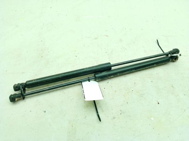 654700462R Renault (RVI)