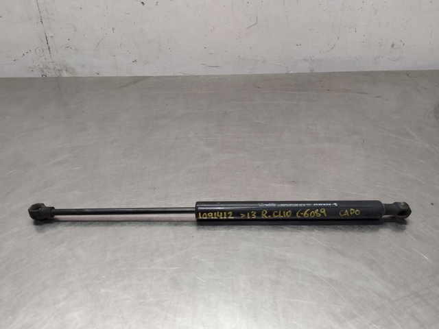 654703934R Renault (RVI)