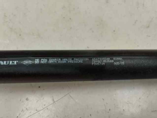 654703934R Renault (RVI)