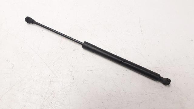 654704175R Renault (RVI)