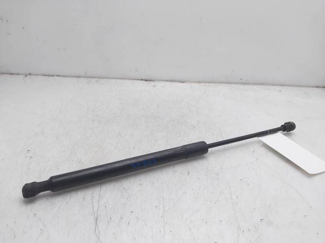 Amortyzator maski 654704175R RENAULT