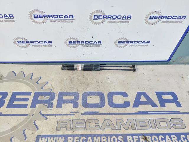 Amortyzator maski 654706489R RENAULT