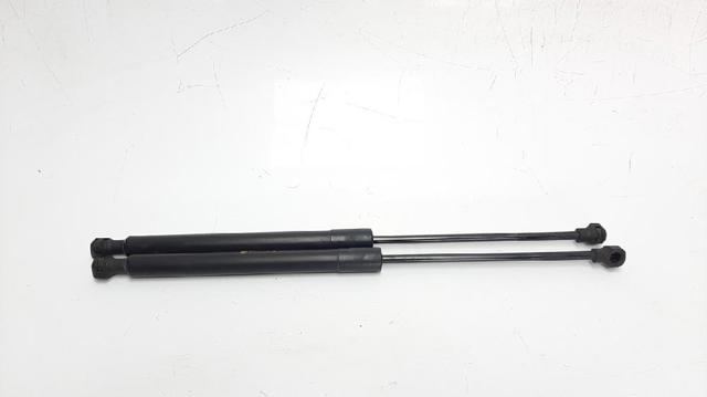 654707606R Renault (RVI)