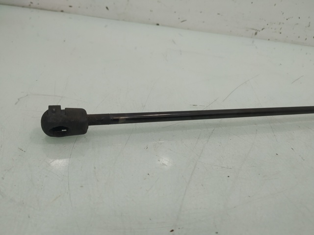 654710003R Renault (RVI)