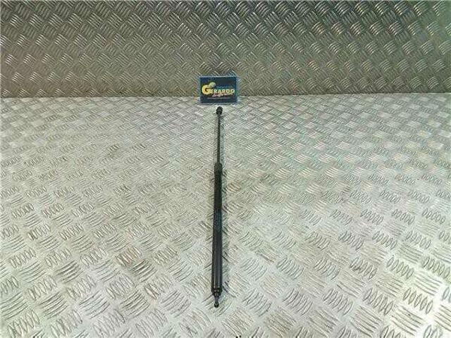 Amortyzator maski 654710003R RENAULT