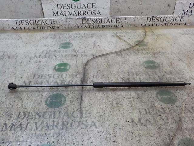 654710003R Renault (RVI)