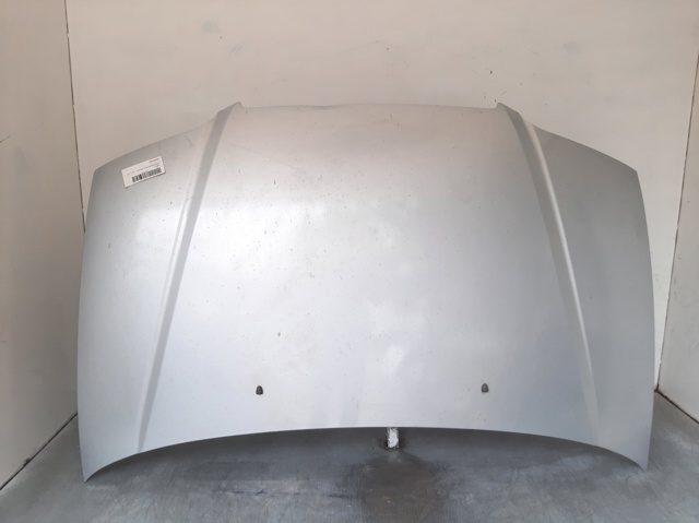 Maska silnika do Hyundai Trajet FO