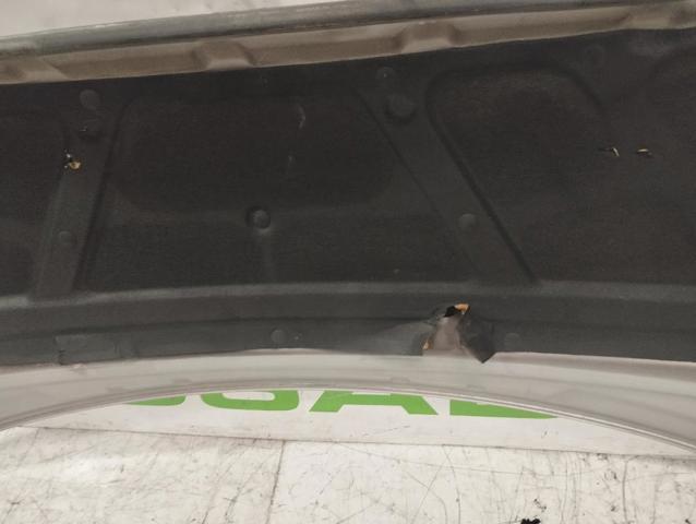 Maska KIA Carnival