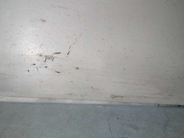 Drzwi przednie prawe Toyota RAV4 3 A3