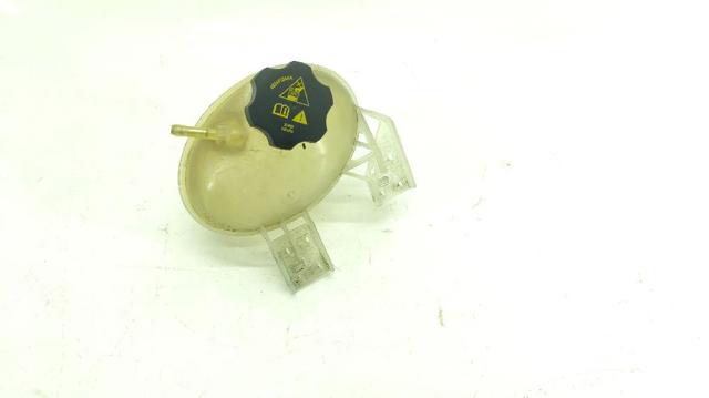 Zbiorniczek wyrównawczy układu chłodzenia 68289857AA CHRYSLER