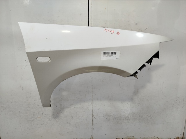 Błotnik przedni prawy 6J0821022D VAG