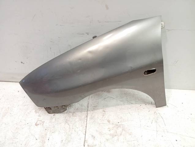 Błotnik przedni lewy 6L0821021C VAG