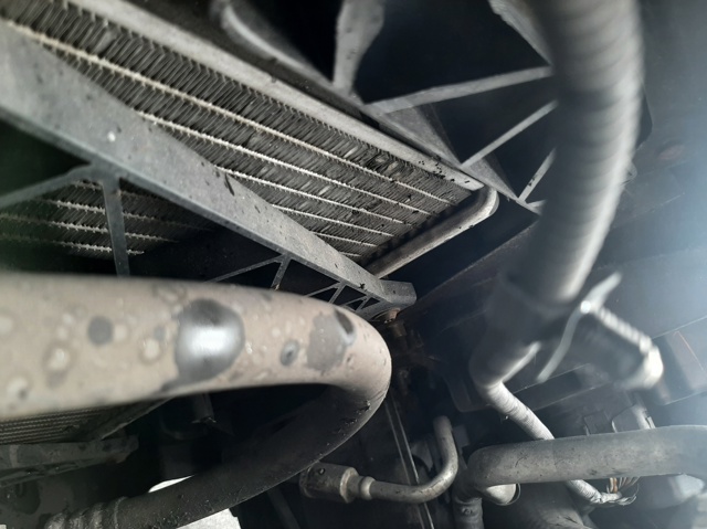 Chłodnica silnika 6Q0121253R VAG