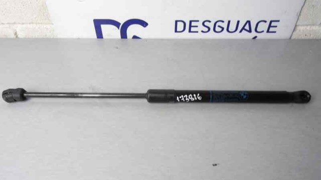 Amortyzator maski 7148346 BMW