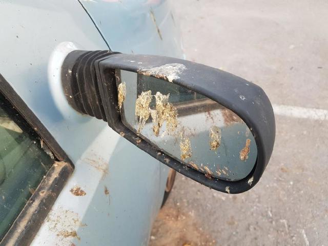 Lusterko wsteczne prawe 735310073 FIAT