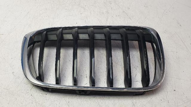 Atrapa chłodnicy prawa 7354824 BMW