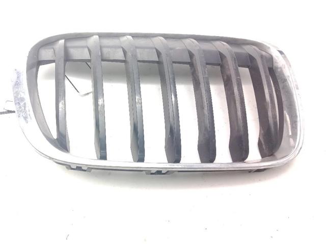 Atrapa chłodnicy prawa 7354824 BMW