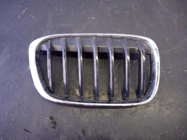 Atrapa chłodnicy prawa 7354824 BMW