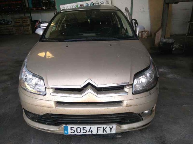 Atrapa grill Citroen C4