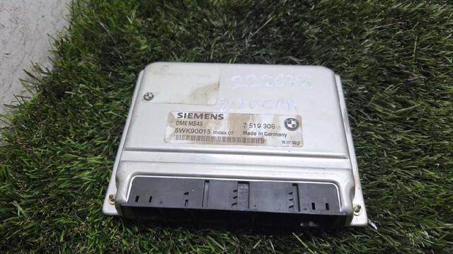 Sterownik silnika BMW X5 E53