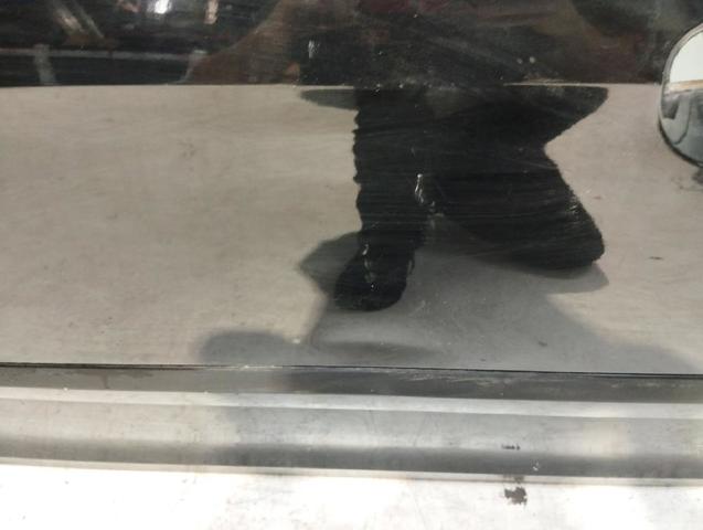 Drzwi przednie lewe KIA Picanto 1 BA