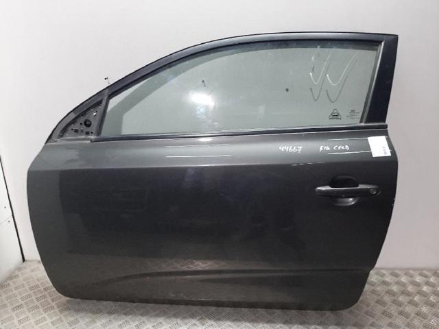 Drzwi przednie lewe 760031H000 HYUNDAI