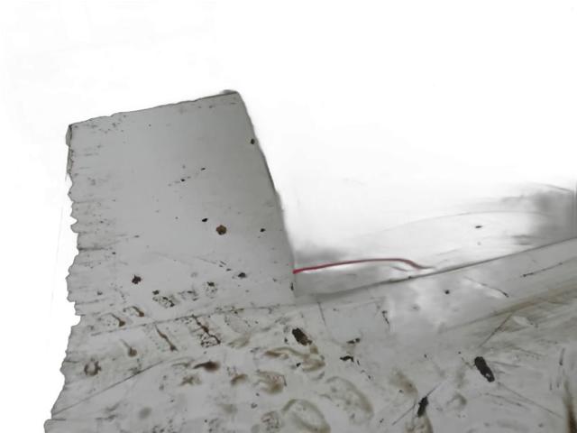 Drzwi przednie lewe Hyundai H-1 STAREX