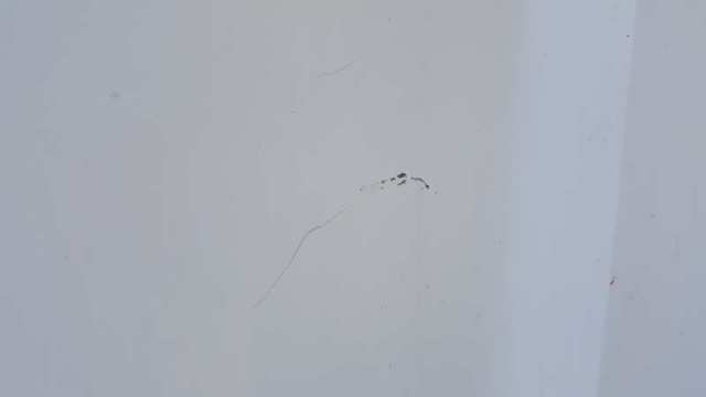 Drzwi przednie prawe Hyundai H-1 STAREX A1