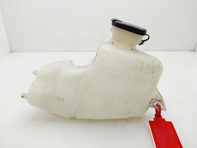 Zbiorniczek spryskiwacza szyb 7700308814 RENAULT