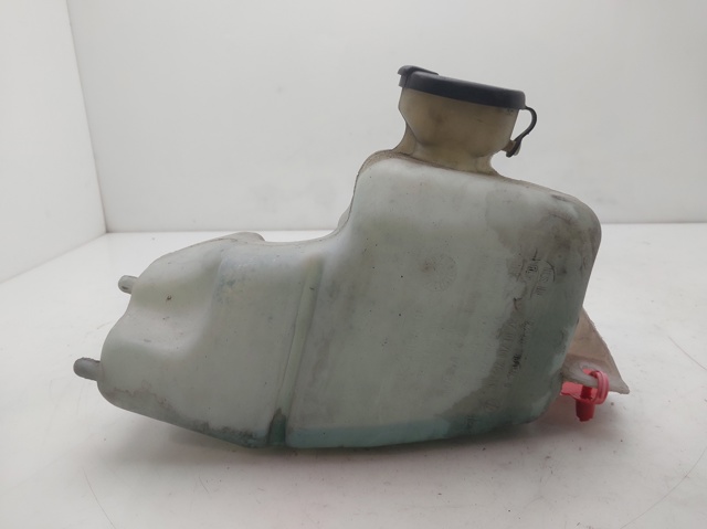 Zbiorniczek spryskiwacza szyb 7700308814 RENAULT