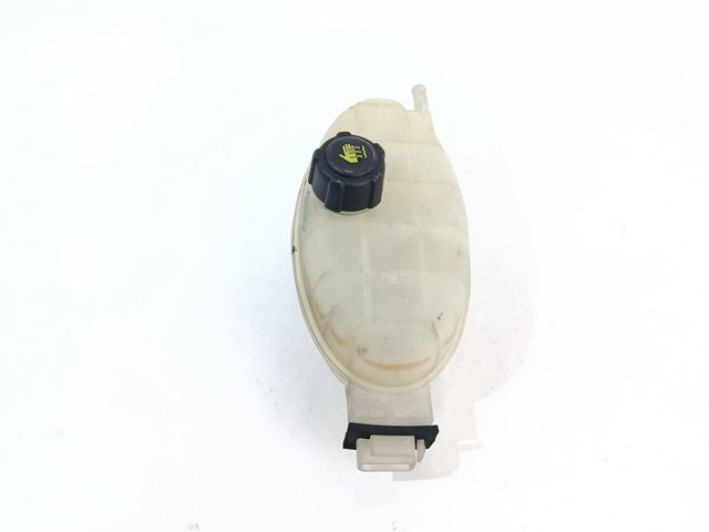 7700312900 Renault (RVI)