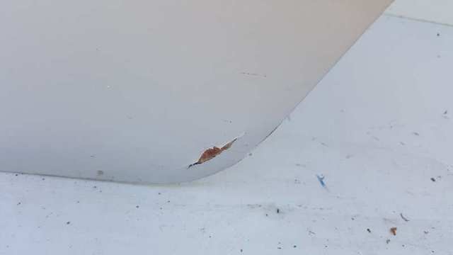 Drzwi tylne lewe Hyundai Matrix FC