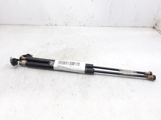 Amortyzator klapy bagażnika (3/5 drzwi-tylnych) 7700828454 RENAULT