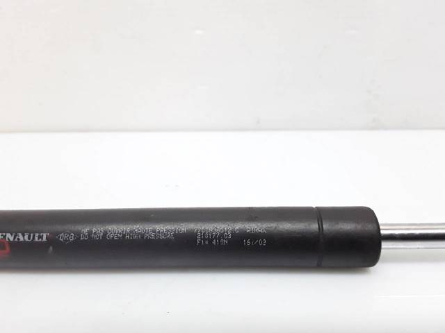 7700838612 Renault (RVI)