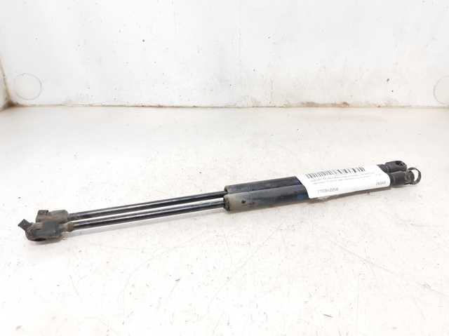 Amortyzator klapy bagażnika (3/5 drzwi-tylnych) 7700842256 RENAULT