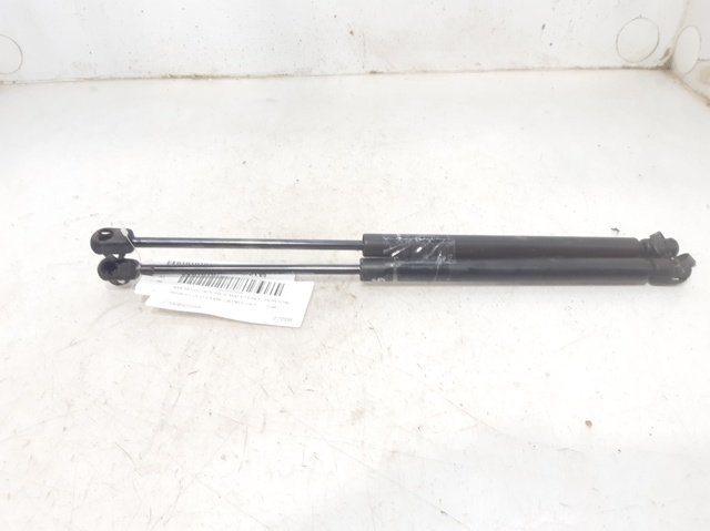 Amortyzator klapy bagażnika (3/5 drzwi-tylnych) 7700842256 RENAULT