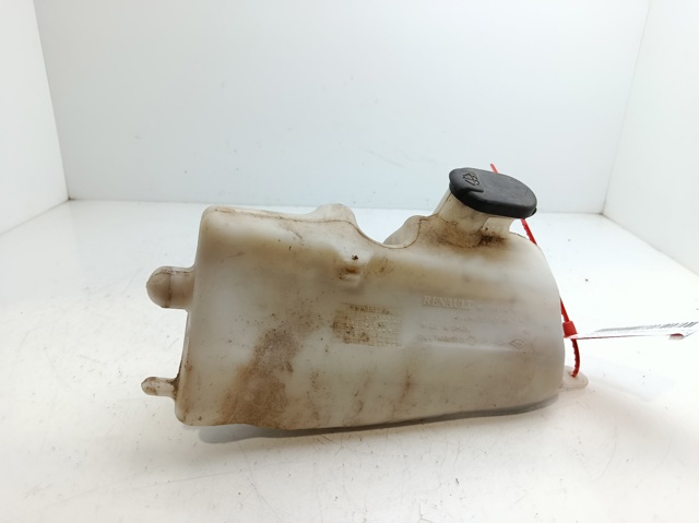 Zbiorniczek spryskiwacza szyb 7700847815 RENAULT
