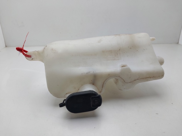 Zbiorniczek spryskiwacza szyb 7700847815 RENAULT