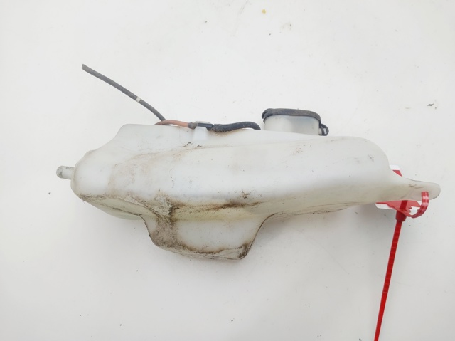 Zbiorniczek spryskiwacza szyb 7700847815 RENAULT