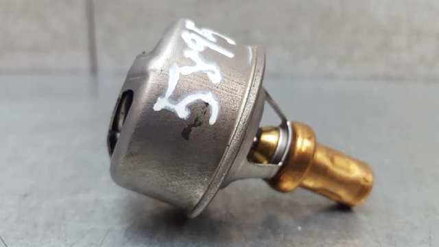 7700868980 Renault (RVI)