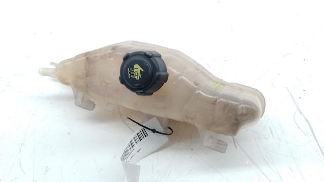 Zbiorniczek spryskiwacza szyb 7701058023 RENAULT