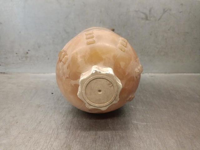 Zbiorniczek wyrównawczy układu chłodzenia 7701203220 RENAULT