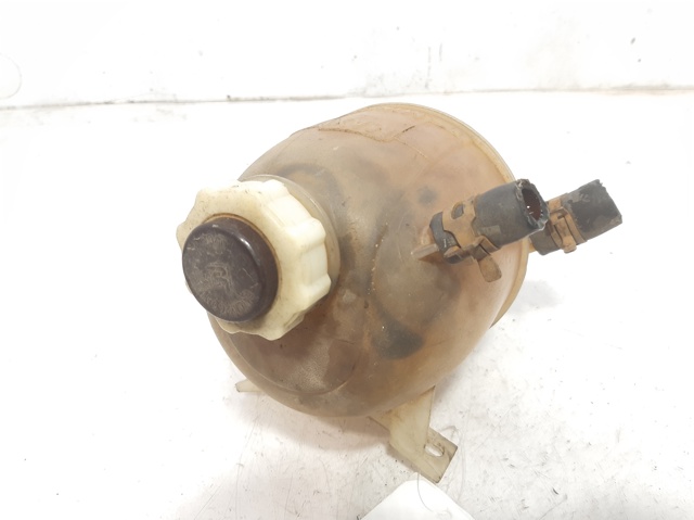 Zbiorniczek wyrównawczy układu chłodzenia 7701468746 RENAULT
