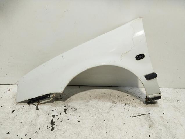 Kupić Błotnik przedni lewy Renault 19 I B53, C53 w dobrej cenie