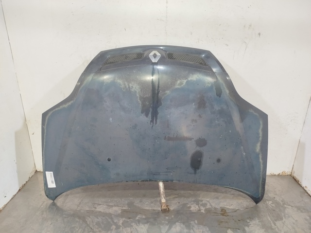  Renault Scenic I od 243,33 zł