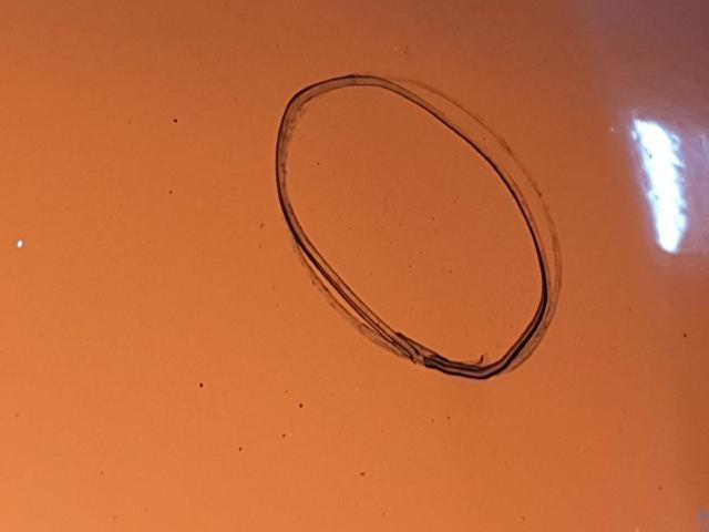 Maska silnika Renault Clio 2 BB, CB