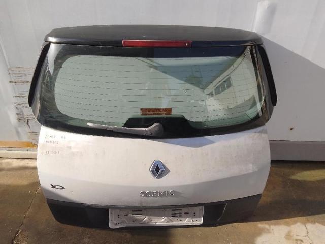 Drzwi tylne (bagażnika 3/5) 7751474296 RENAULT